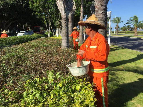 厦门公路养护市场重构下的专精之路